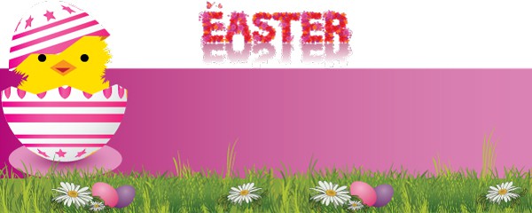 Pink Chick and Egg Design