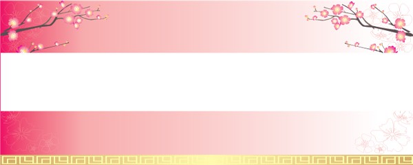 Chinese New Year 2011 Pink Design