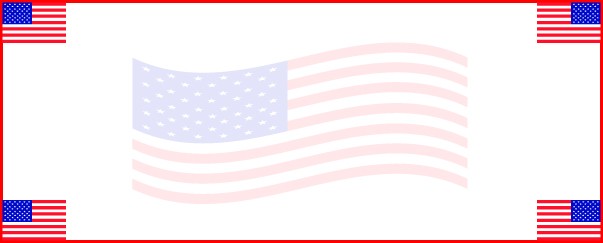 USA Flag White Background