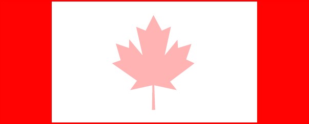 Canadian Flag Medium