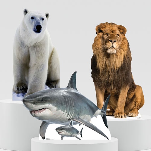 Animals & Creatures Lifesize Cardboard Cutouts