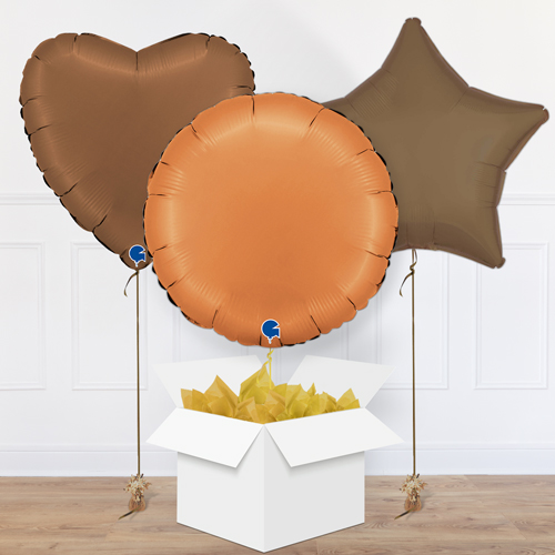 Brown Balloon in a Box