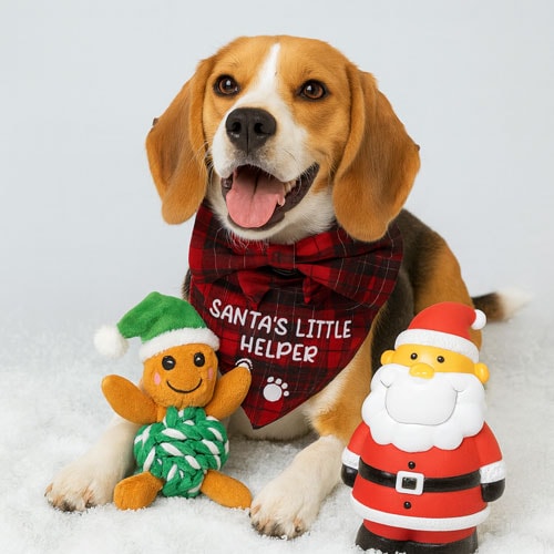 Christmas Gifts for Pets