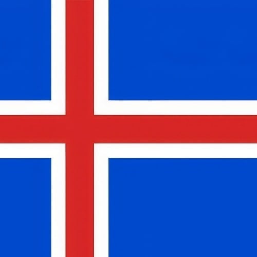 Iceland Party Supplies