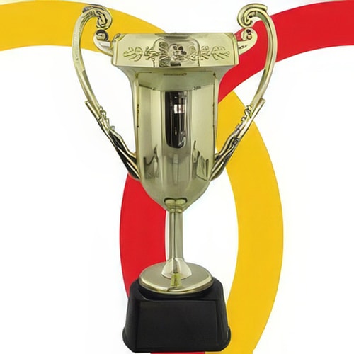 Awards Trophies Medals