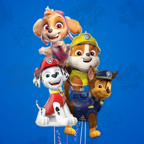 Paw Patrol Party Supplies
