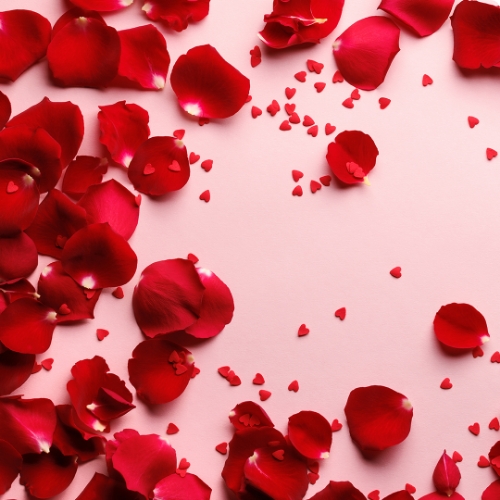 Rose Petal Confetti