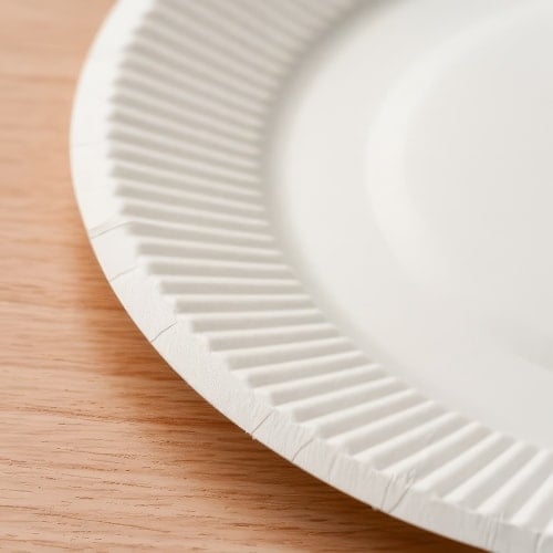 Disposable Plates