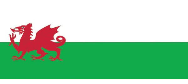 St Davids Day Personalised Banners
