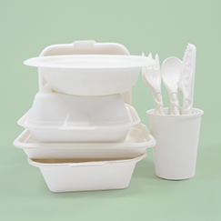 Eco-Friendly Party Supplies