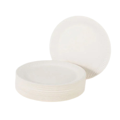Economy Party Plates