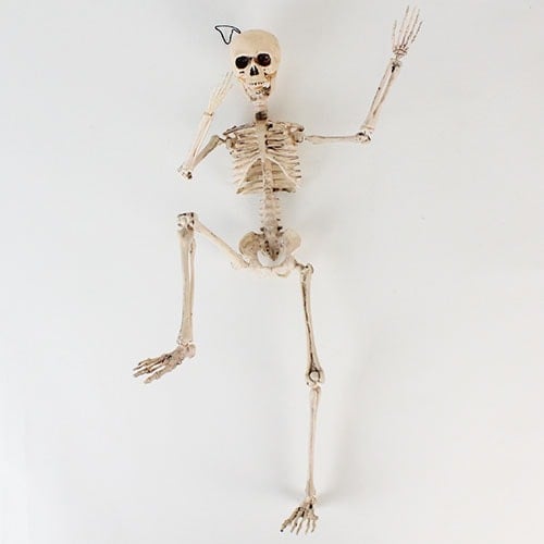 Halloween Prop Movable Skeleton Hanging Decoration 50cm Product Gallery Image