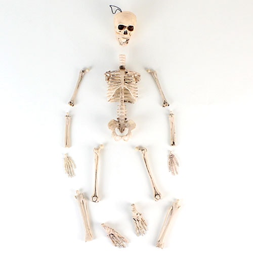 Halloween Prop Movable Skeleton Hanging Decoration 50cm Product Gallery Image