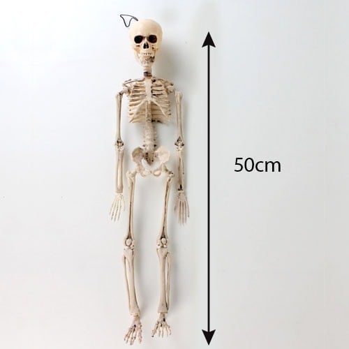 Halloween Prop Movable Skeleton Hanging Decoration 50cm