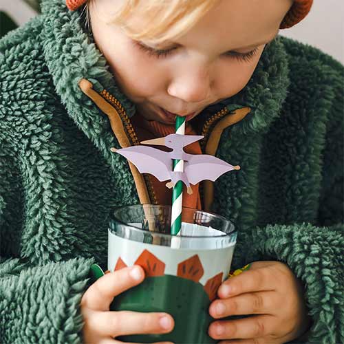 Adjustable Dinosaur Cup Cover Paper Sleeves - Pack of 6 Product Gallery Image