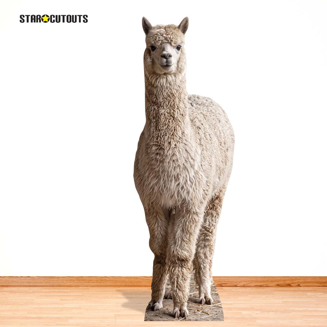 Alpaca Lifesize Cardboard Cutout 159cm View 8