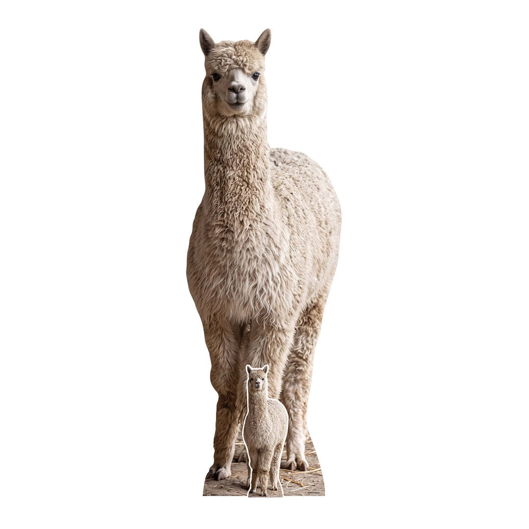 Alpaca Lifesize Cardboard Cutout 159cm