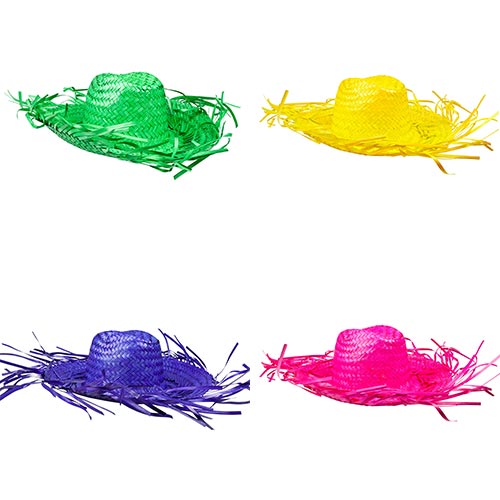 Assorted Caribbean Straw Hat Hawaii Fancy Dress Product Gallery Image