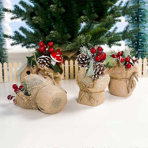 Assorted Christmas Plants In Jute Sack Product Gallery Image
