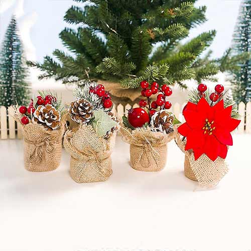 Assorted Christmas Plants In Jute Sack Product Gallery Image