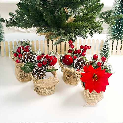 Assorted Christmas Plants In Jute Sack