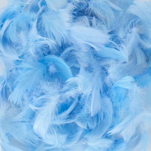 Assorted Easter Decorative Feathers 20g Product Gallery Image