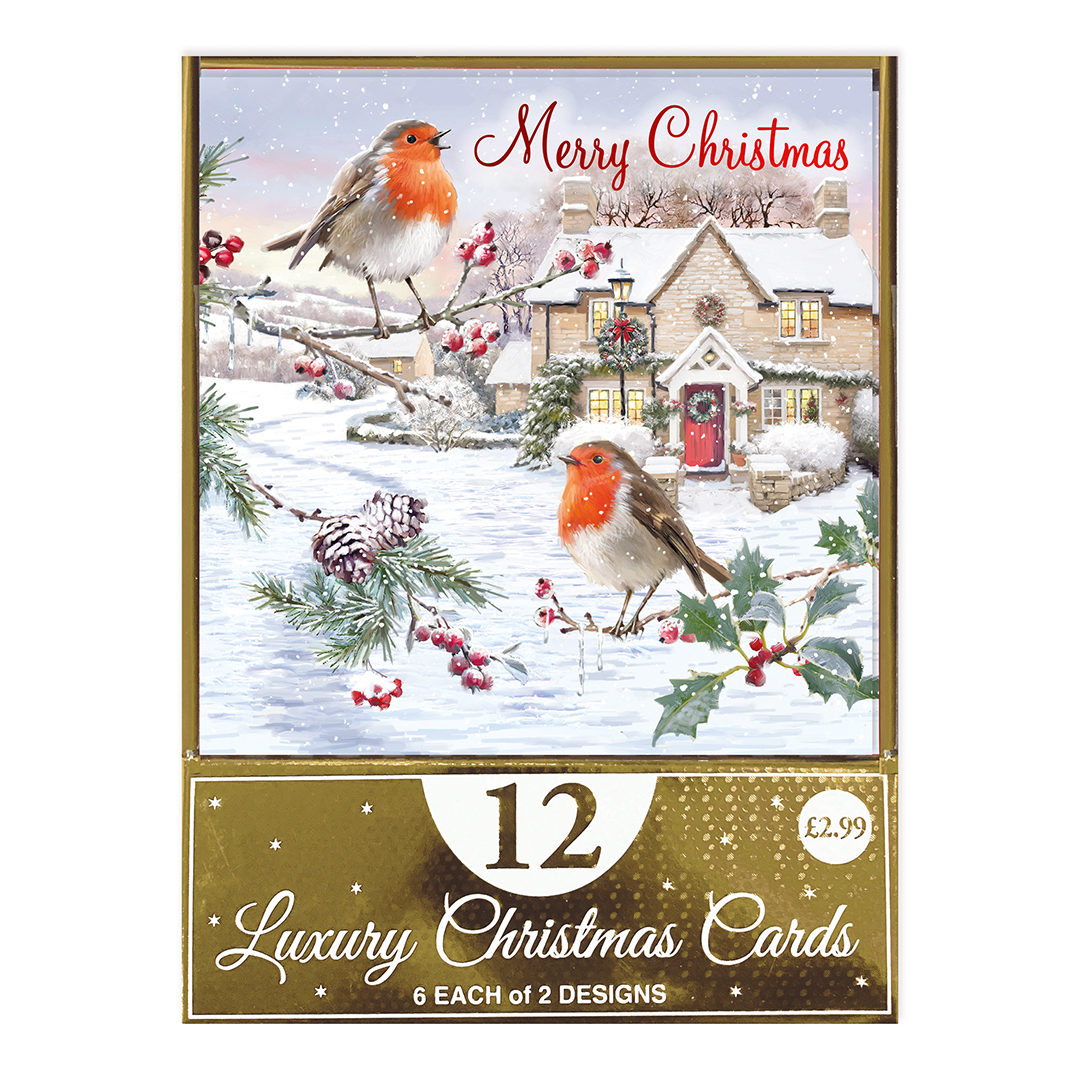 Assorted Traditional Robin Scene Christmas Greeting Cards - Pack of 12 Product Gallery Image