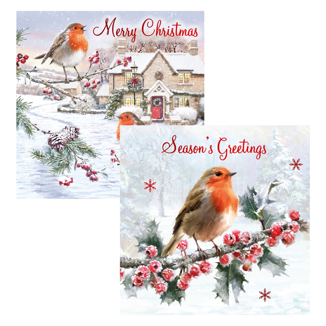 Assorted Traditional Robin Scene Christmas Greeting Cards - Pack of 12