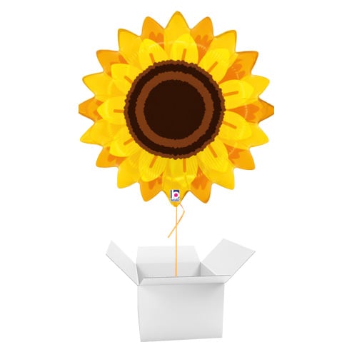 Autumn Sunflower Foil Helium Giant Balloon - Inflated Balloon in a Box Product Gallery Image