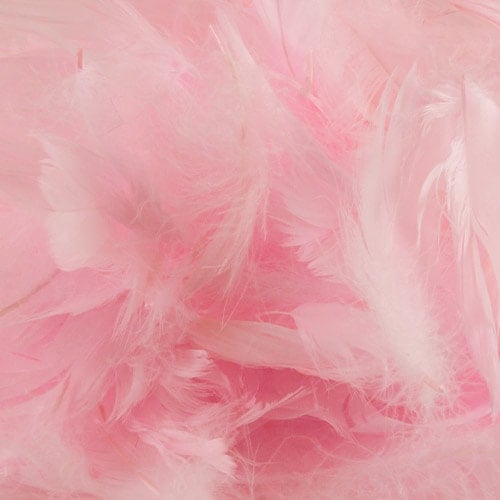 Baby Pink Eleganza Feathers 50g Product Image