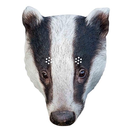 Badger Cardboard Face Mask Product Image