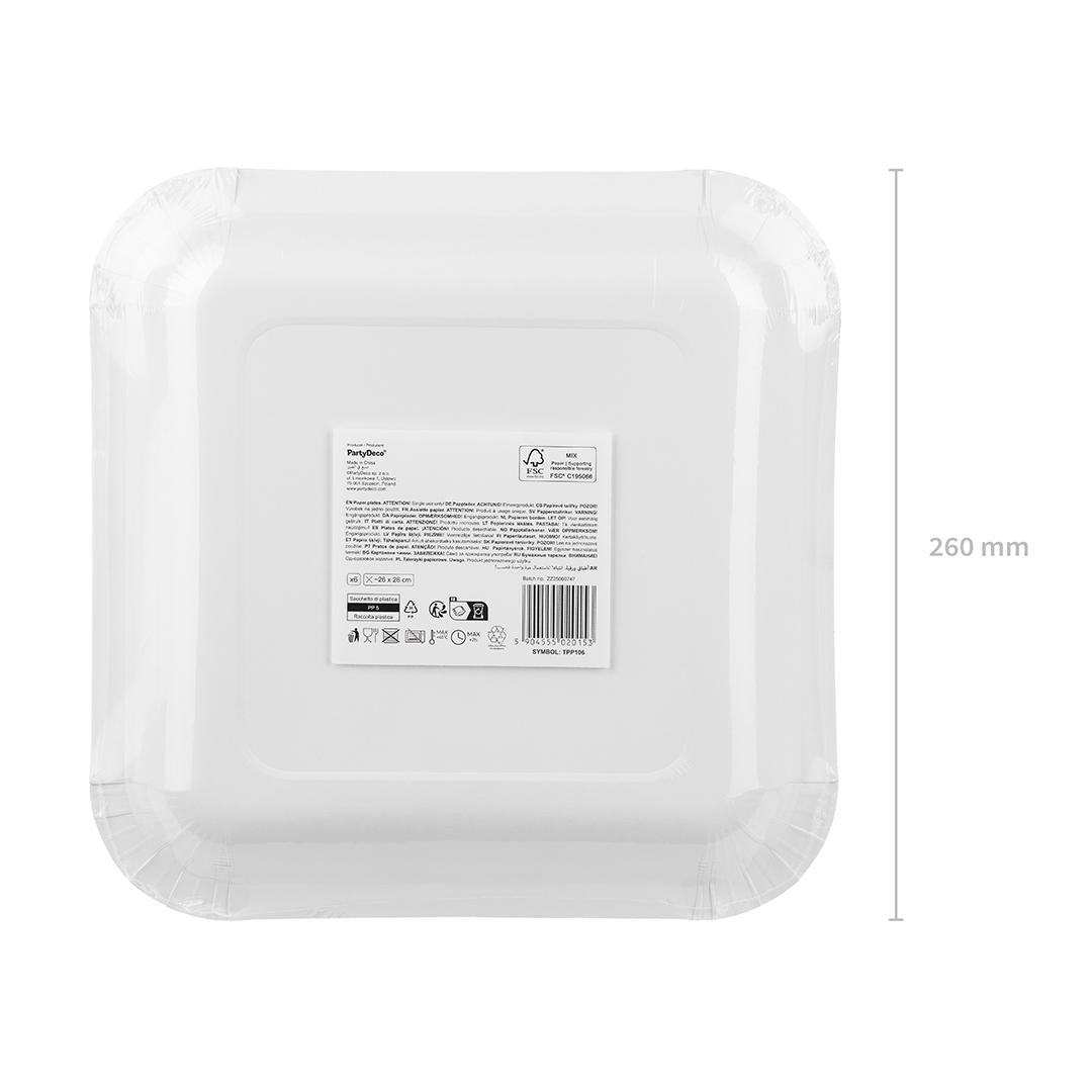BBQ Red & White Square Paper Plates 26cm - Pack of 6 Product Gallery Image