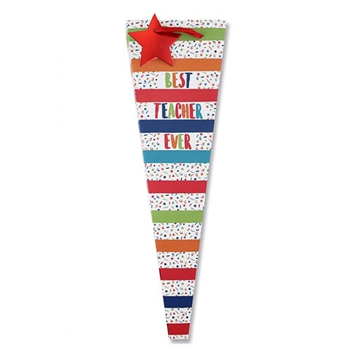 Best Teacher Ever Colourful Flower Gift Bag 43cm Product Gallery Image