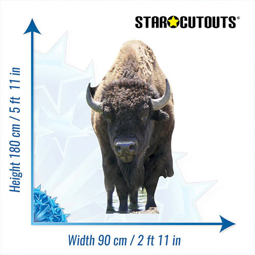 Bison Lifesize Cardboard Cutout 180cm Product Gallery Image
