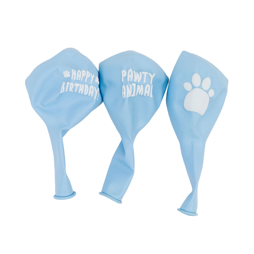 Blue Pet Cat & Dog Birthday Kit Product Gallery Image