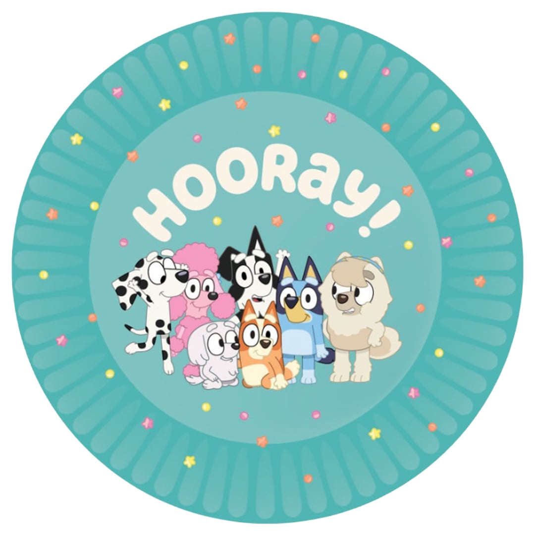 Bluey Round Paper Plates 22cm - Pack of 8