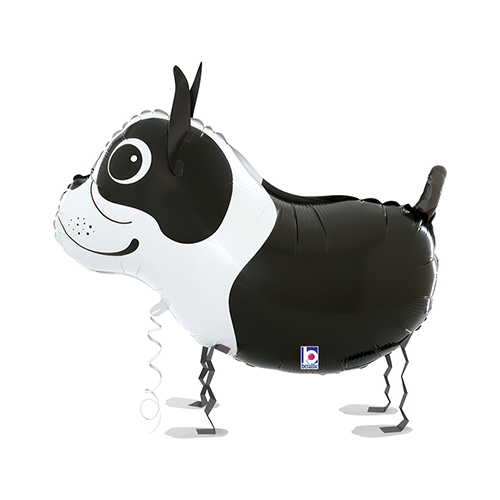 Boston Terrier Walking Pet Foil Helium Balloon 48cm / 19 in Product Gallery Image