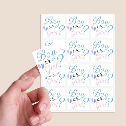 Boy or Girl Gender Reveal Square Stickers 65mm - Sheet of 12 Product Gallery Image