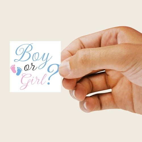 Boy or Girl Gender Reveal Square Stickers 65mm - Sheet of 12 Product Gallery Image