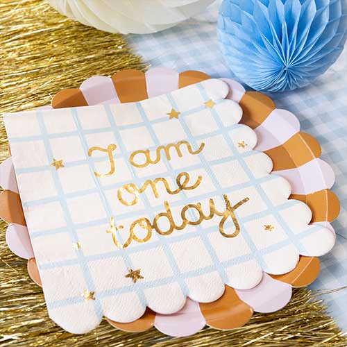 Brown & Pink Striped Round Paper Plates 21cm - Pack of 6 Product Gallery Image