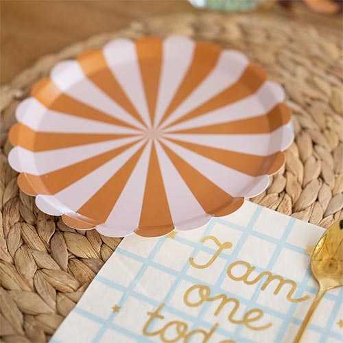 Brown & Pink Striped Round Paper Plates 21cm - Pack of 6 Product Gallery Image