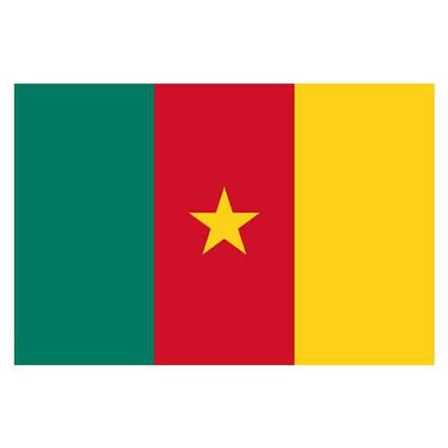 Cameroon Flag - 5 x 3 Ft Product Image