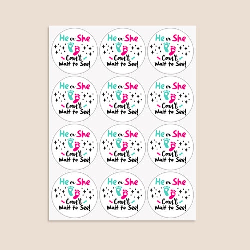 Can't Wait to See Gender Reveal Round Stickers 60mm - Sheet of 12 Product Gallery Image