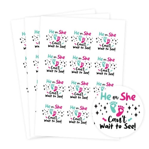 Can't Wait to See Gender Reveal Round Stickers 60mm - Sheet of 12 Product Gallery Image