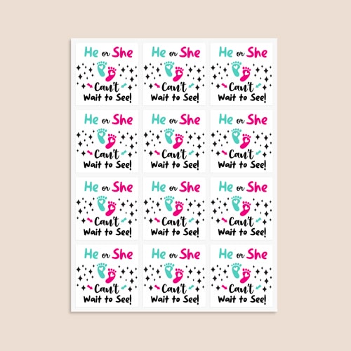 Can't Wait to See Gender Reveal Square Stickers 65mm - Sheet of 12 Product Gallery Image