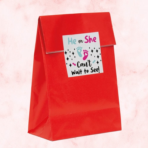Can't Wait to See Gender Reveal Square Stickers 65mm - Sheet of 12 Product Gallery Image