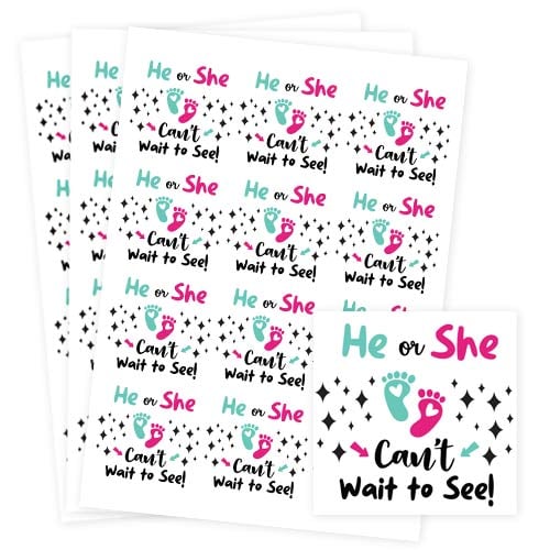 Can't Wait to See Gender Reveal Square Stickers 65mm - Sheet of 12 Product Gallery Image