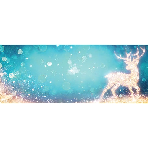 Christmas Sparkling Reindeer Design Large Personalised Banner- 10ft x 4ft