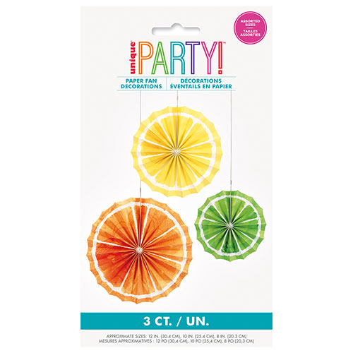 Citrus Fruit Assorted Tissue Paper Fan Hanging Decorations - Pack of 3 Product Gallery Image