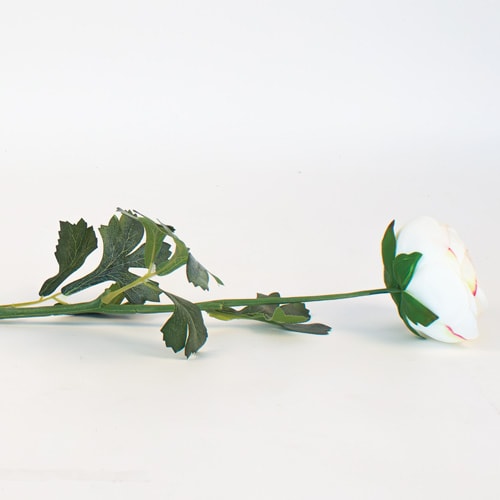 Cream Ranunculus Artificial Flower Decoration 51cm Product Gallery Image